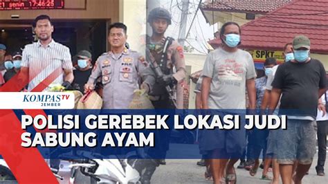 Polisi Gerebek Lokasi Judi Sabung Ayam Di Grobogan 9 Orang Ditangkap