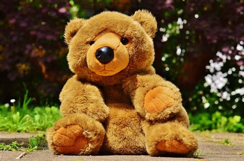 Free Images : sweet, cute, fabric, teddy bear, fun, bears, funny, plush ...