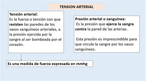 Tomidigital Tension Arterial