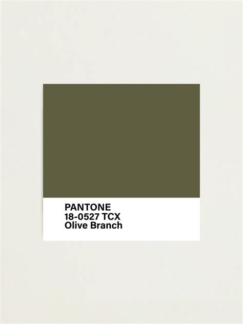 Pantone Tcx Olive Branch Photographic Print For Sale By