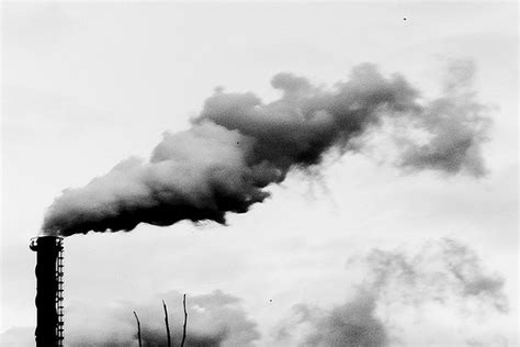 The Climate Coalition: Local Love for a Global Problem - Theos Think