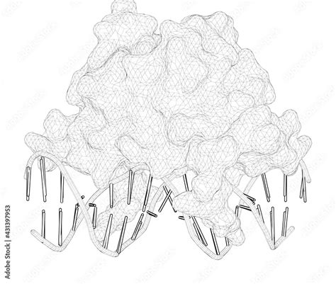 D Rendering As A Line Drawing Of A Biological Molecule Crystal