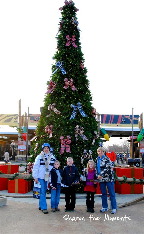 Columbus Zoo Wildlights 2012 Annual Family Tradition