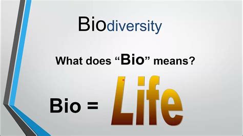 Lecture 1 Ecology And Biodiversity Youtube