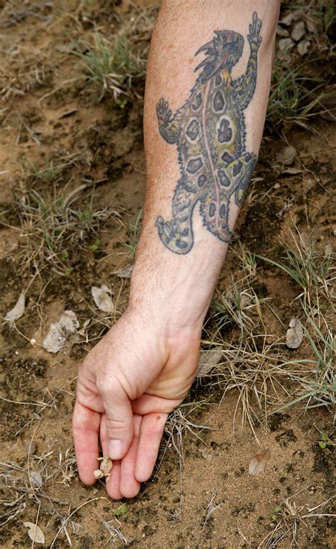 Where Have All The Horny Toads Gone Dallas News