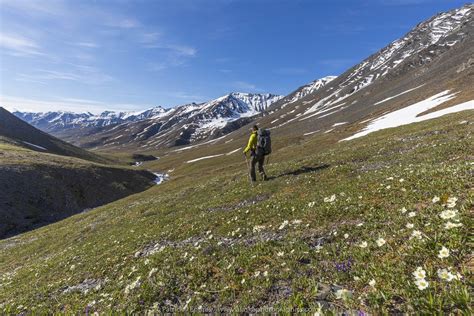 Backpacking And Camping In Alaskas Brooks Range Arctic Getaway