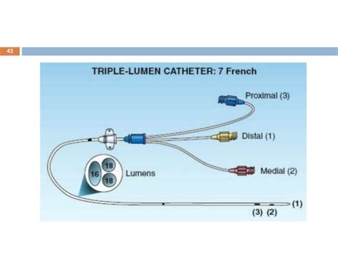Picc Line 2 Lumen