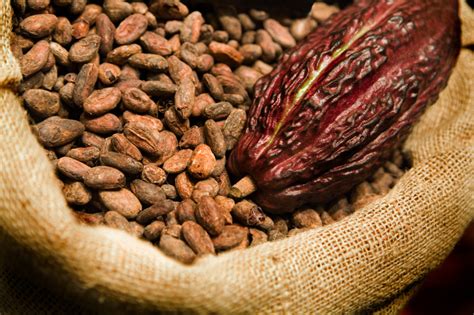 Cocoa Futures | Daniels Trading