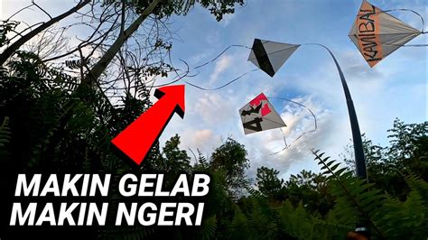 Jarang Ada Yg Tau Di Hutan Ini Semakin Gelab Banyak Layangan Berjatuhan