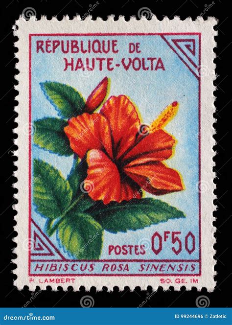 Штемпель напечатанный в верхней Вольте показывает гибискус Редакционное ...