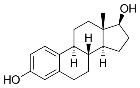 Estrogênio E Estradiol São A Mesma Coisa - Estradiol E Estrogenio São A Mesma Coisa - FDPLEARN