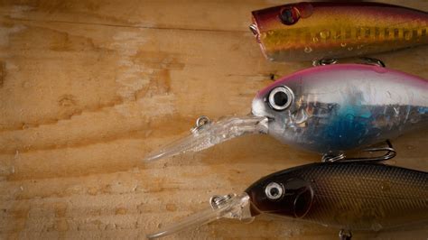 9 Best Salmon Lures Of 2024 Rod And Reel Buying Guide