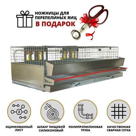 Клетка для перепелов на 50 голов 2 отсека по 25 голов в отсеке. Клетка ...