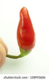 Hundred Chilli Sex Royalty Free Images Stock Photos Pictures Shutterstock