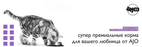 ЗООРАЙ