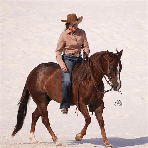 Fans are praising the joey castillo performance at the festival 12