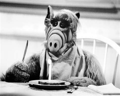 Movie Market - Photograph & Poster of Alf 194525