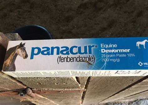 Deworming your Horse – All about horses