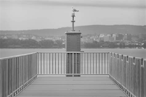 Transit Guide and Local Area Information: Broadway and West 231st 1