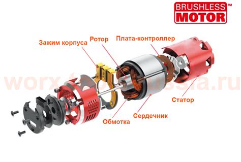 В чем разница между щеточными и бесщеточными двигателями? — Worx Tools ...