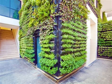 le guide de    pour creer son propre mur vegetal exterieur vertical garden design vertical