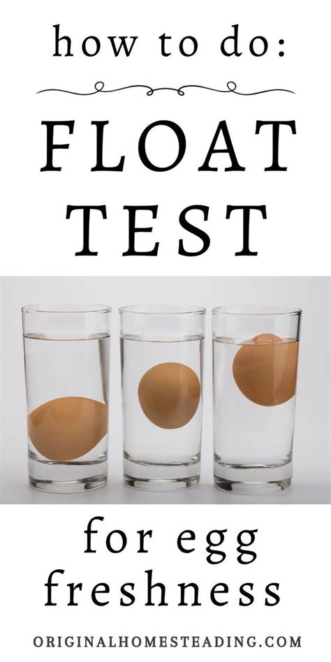 Simple Egg Float Test How To Test For Egg Freshness Easy Eggs Egg