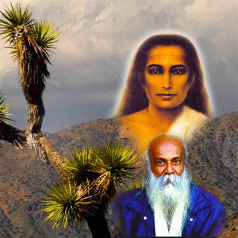 Babaji's Kriya Yoga Lectures of Yogi S.A.A. Ramaiah – Podcast – Podtail