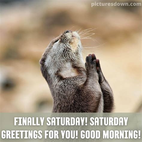 Good Morning Saturday Funny Image Rodent