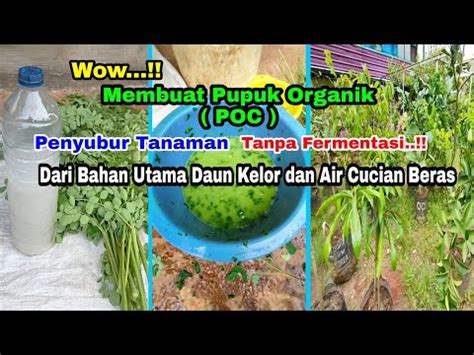 Membuat Pupuk Organik Cair POC Tanpa Fermentasi Dari Bahan Utama Daun