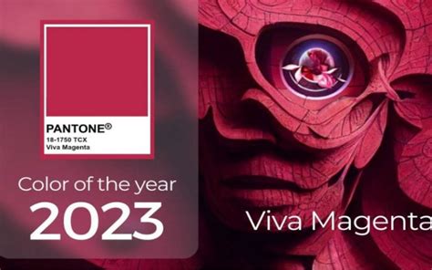 M U Hot Trend N M Nh Ng S C M U T O N N Xu H Ng