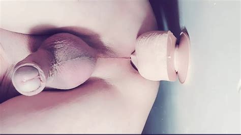 Porcinus Gay Anus In Shape Anal Anal Porn Xhamster