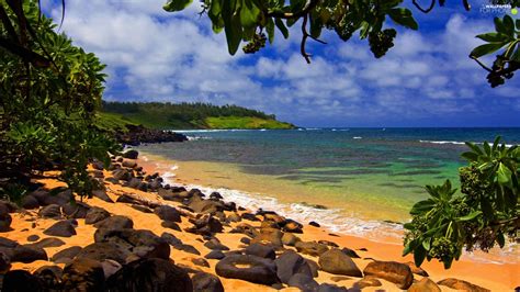 Aloha State Hawaje Sea Stones For Phone Wallpapers X