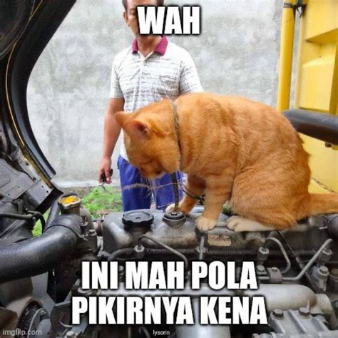 Pin Oleh I Di Jokes Meme Lucu Lucu Gambar Lucu