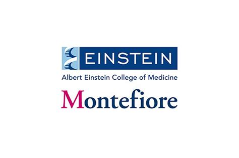 Dr Chen Gives Grand Rounds At Montefiore Darwin Chen Md