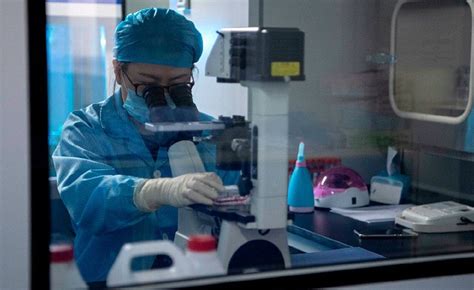 China afirma haber desarrollado una forma "más segura" de editar genes ...