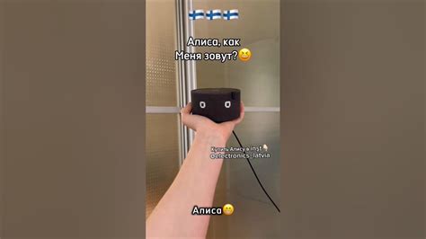 Работает ли колонка Алиса в Финляндии? Как подключить колонку в ...