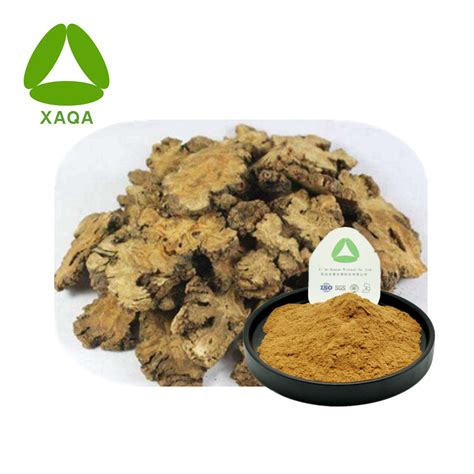 Dong Quai Angelica Sinensis Root Extract 10 1 파우더 의 고품질