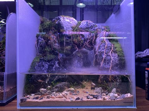 Red duckweed selection in process! : r/Aquascape