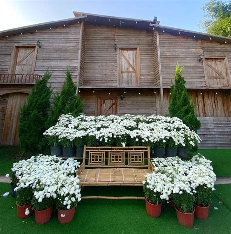 Nhiều điểm check in cực hot ở Tiền Giang đón khách dịp tết