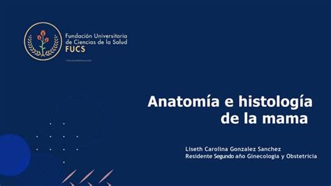 Anatomia E Histologia De La Mama Pptpptx