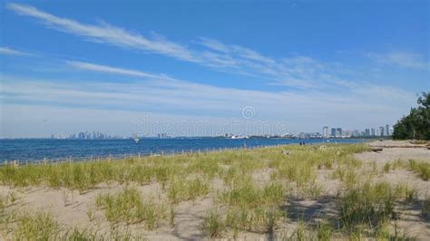 Hanlan S Point Nude Beach View On Toronto Islands Stock Photo Image Of Park Harbour