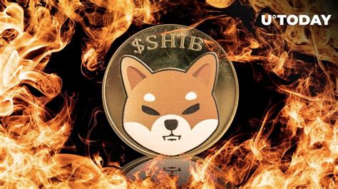 Shiba Inu Burns Million Shib Tokens In Epic Week Here S Impact In