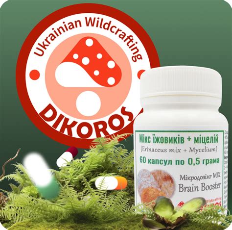 Мікродозинг Dikoros: купити червоний мухомор, лисичка, їжовик