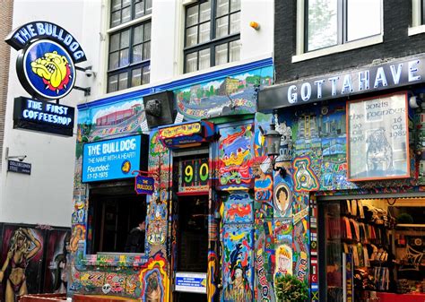 10 Best Coffee Shops In Amsterdam To Visit The Daily Adventures Of Me