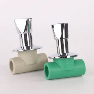 Ppr Brass Gate Valve High Quality Plastic Valve Dark Valve For Cold And Hot Water Pipe Fittings