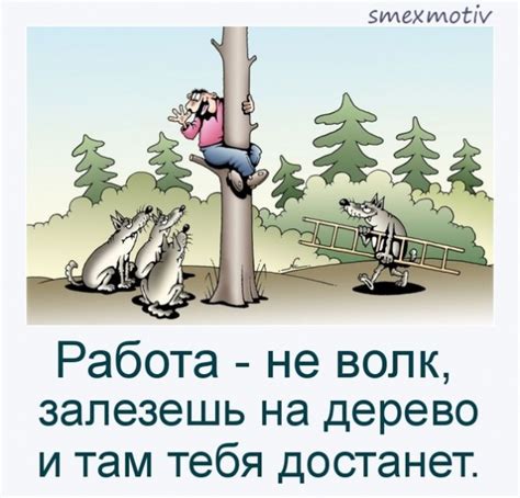 Работа — не волк, залезешь | Смех и мотиваторы