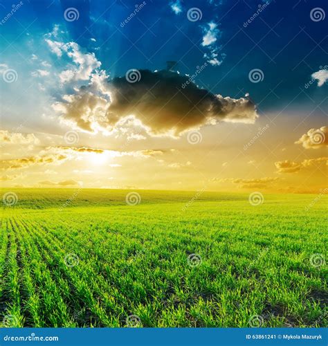 Dramatic Sunset Over Green Field Stock Image Image Of Beautiful