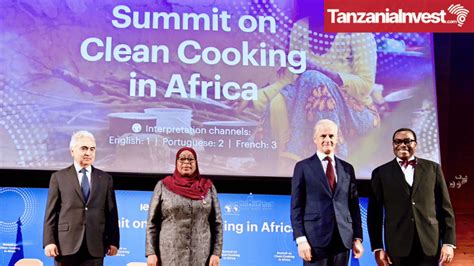 Tanzania S President Samia Urges Donors To Unlock Clean Cooking Finance