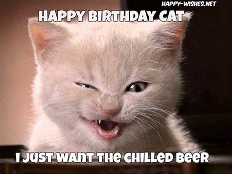 35 Cat Birthday Memes That Are Way Too Adorable Cat Birthday Happy