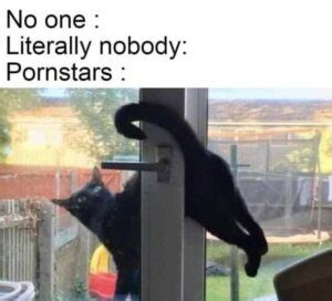 69 Sex Memes That Are Every Bit As Dirty As They Are Funny